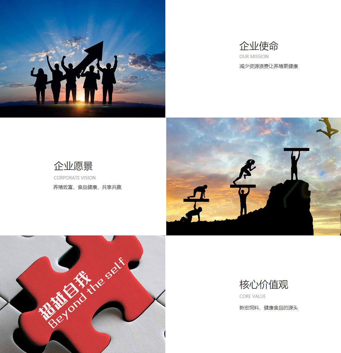 加拿大pc(图1)